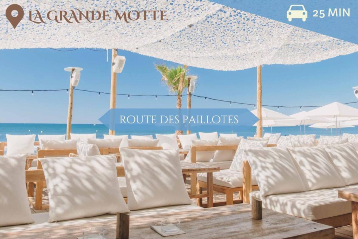 063 - Studio Didion, Centre Gare St Roch, Clim, Balcon,4Pers Montpellier Exterior photo